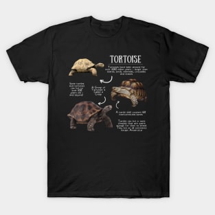 Animal Facts - Tortoise T-Shirt